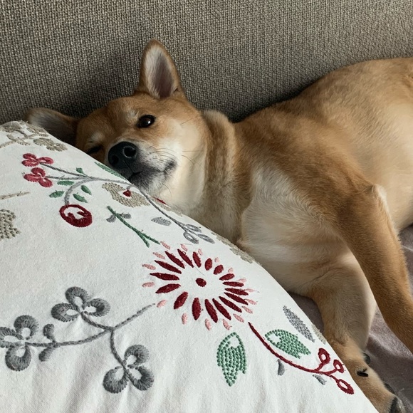 Meet your Posher, Guojing - Picture 1 of 1